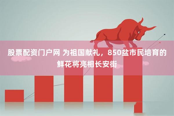 股票配资门户网 为祖国献礼，850盆市民培育的鲜花将亮相长安街